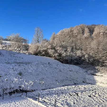 Шале Monte Z Ogrodem