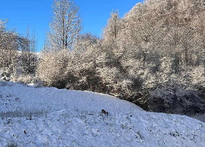 Шале Monte Z Ogrodem