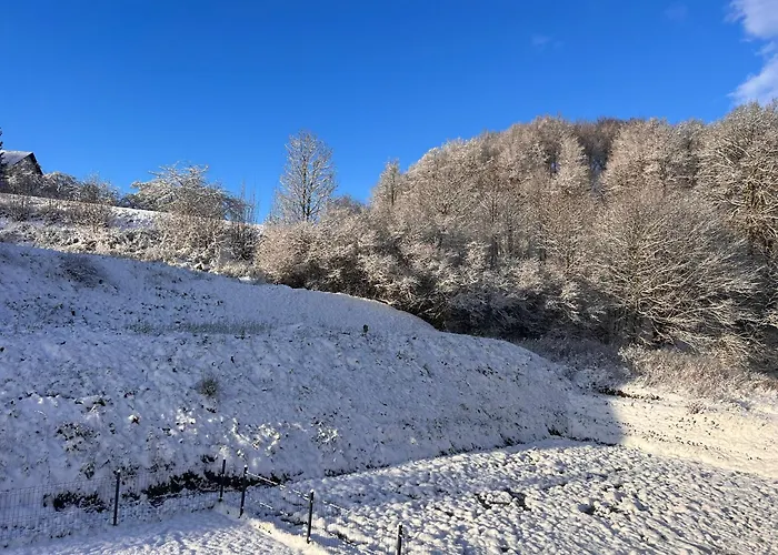 Шале Monte Z Ogrodem